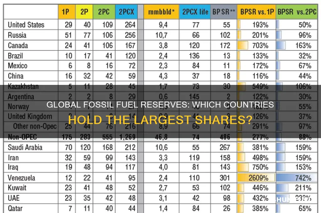 who has the most fossil fuels