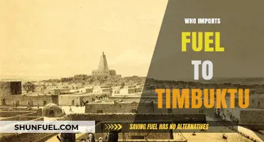 Fuel Importers in Timbuktu: Unveiling the Key Players