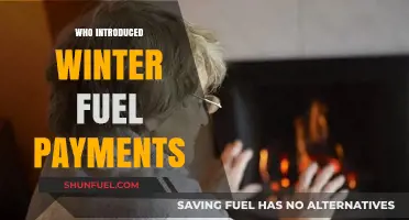 Winter Fuel Payments: A Historical Overview of Their Introduction