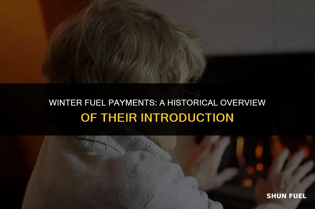 who introduced winter fuel payments