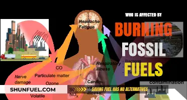 Burning Fossil Fuels: Who Bears the Brunt of Its Impact?