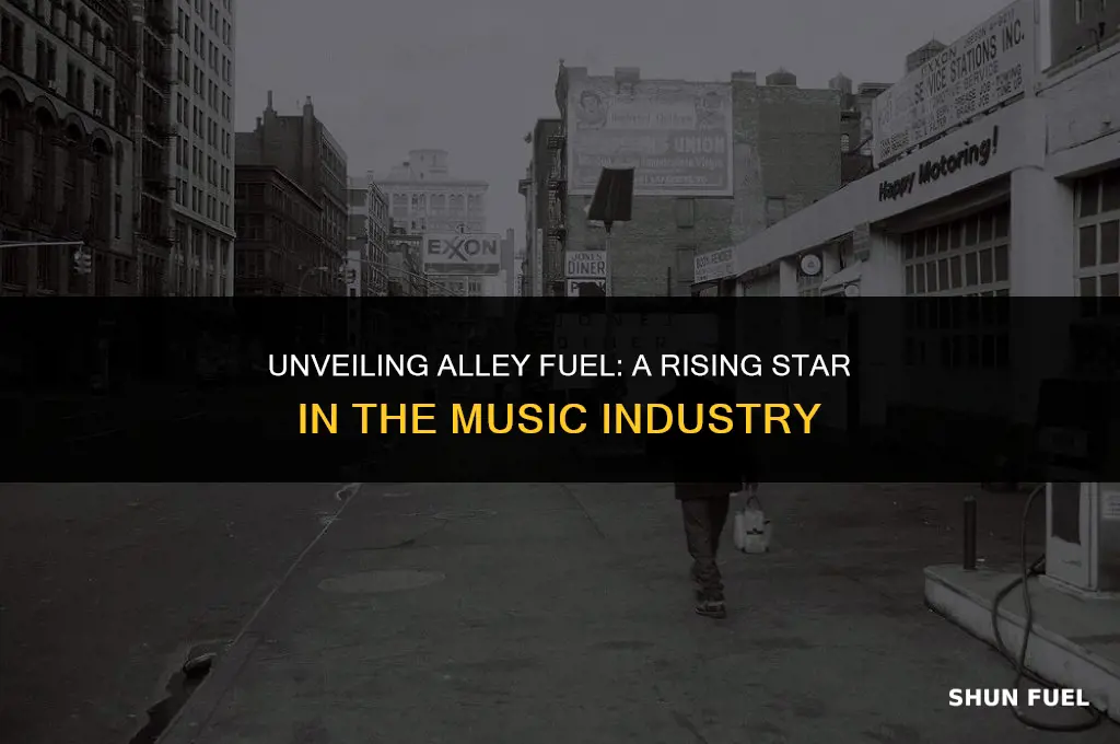who is alley fuel