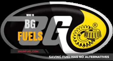 Exploring the Identity and Impact of BG Fuels