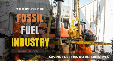Unveiling the Workforce: Who Works in the Fossil Fuel Industry?