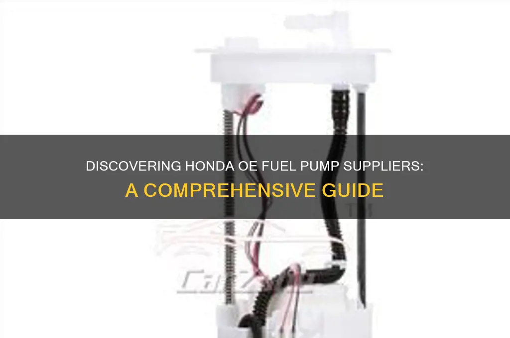 who is honda oe fuel pump suppliers