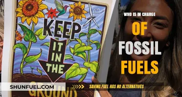 Who Controls Fossil Fuels: Power, Politics, and Global Energy Leadership