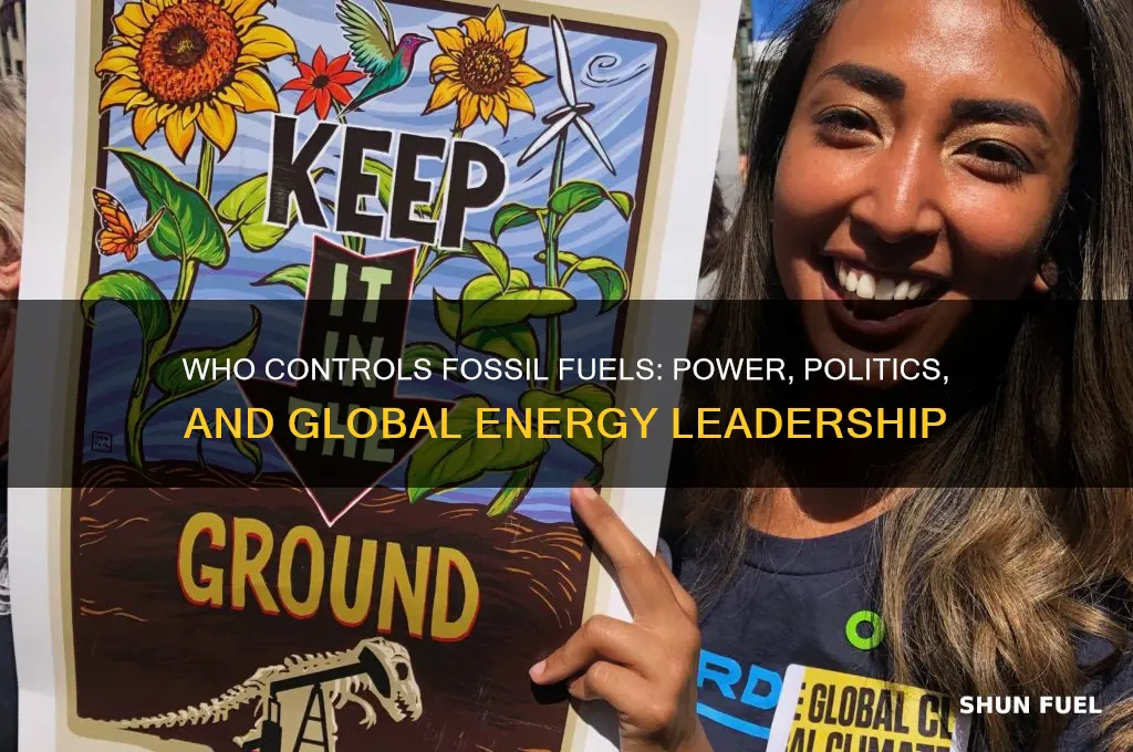 who is in charge of fossil fuels