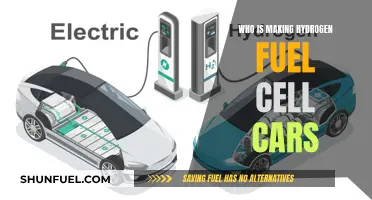 Hydrogen Fuel Cell Cars: Who's Leading the Pack?