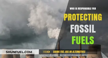 Who Bears the Responsibility for Safeguarding Fossil Fuels?