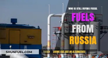 Despite Sanctions: Which Countries Continue Importing Russian Fossil Fuels?