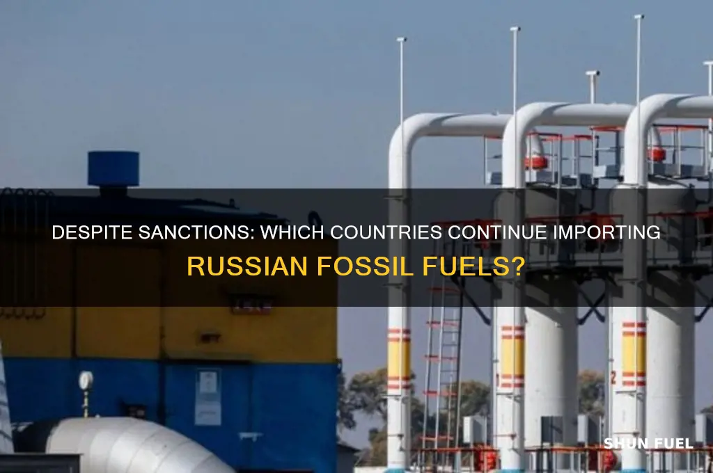 who is still buying fossil fuels from russia