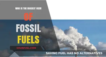 The Biggest Fossil Fuel Users: A Global Overview