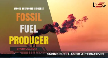 Unveiling the Top Global Fossil Fuel Producer: A Comprehensive Analysis