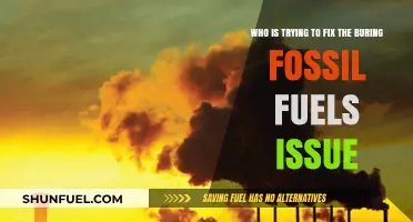 Global Efforts to Combat Fossil Fuel Emissions: Who's Leading the Charge?