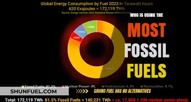 Global Fossil Fuel Consumption: Top Nations Leading the Energy Demand