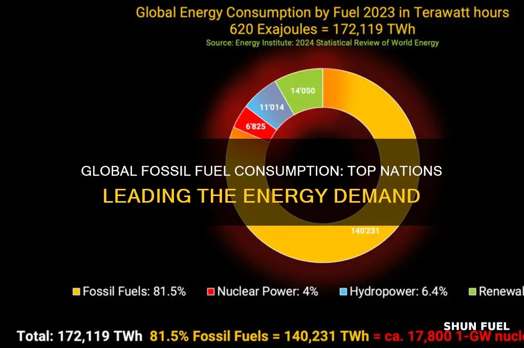 who is using the most fossil fuels