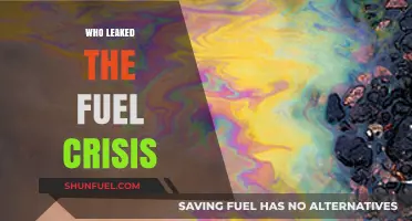 Unveiling the Truth: Who Leaked the Fuel Crisis?