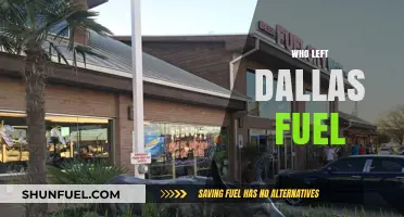 Departures from Dallas Fuel: A Team in Transition