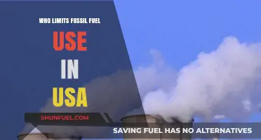 Who Controls Fossil Fuel Use in the USA: Key Players and Policies