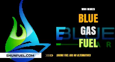 Exploring the Producers of Blue Gas Fuel: A Comprehensive Guide