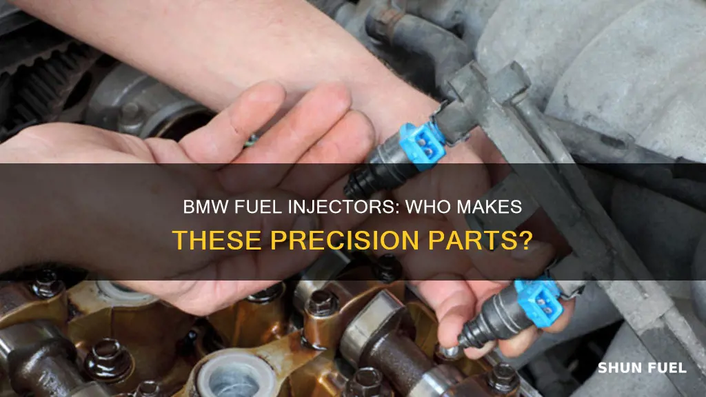 who makes bmw fuel injectors