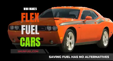 Flex Fuel Cars: Who's Behind the Wheel?