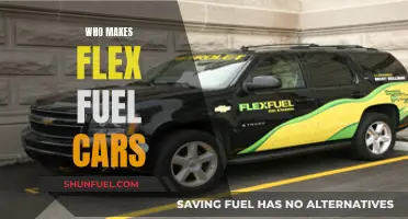Flex Fuel Cars: Who's Leading the Charge?