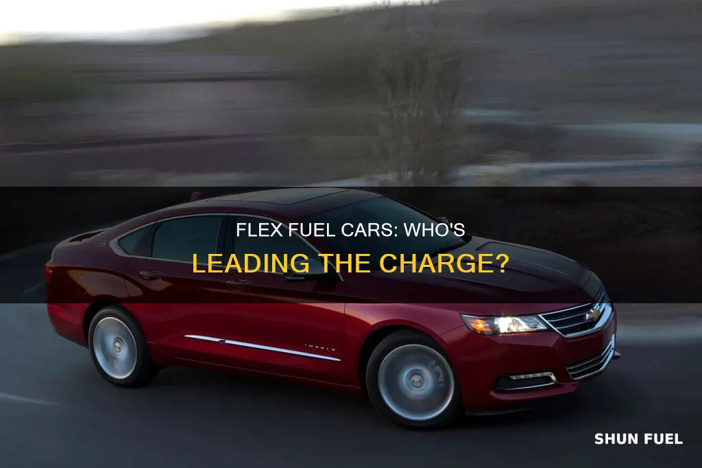 who makes flex fuel cars