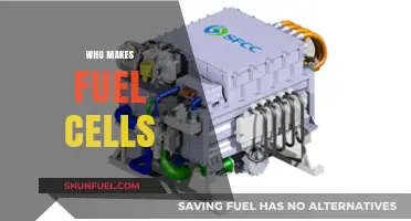 Exploring the Key Players in the Fuel Cell Industry