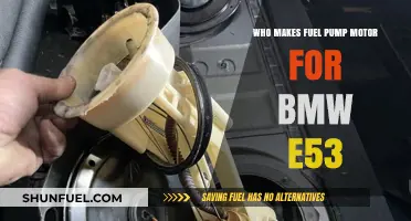Who Manufactures the Fuel Pump Motor for BMW E53?