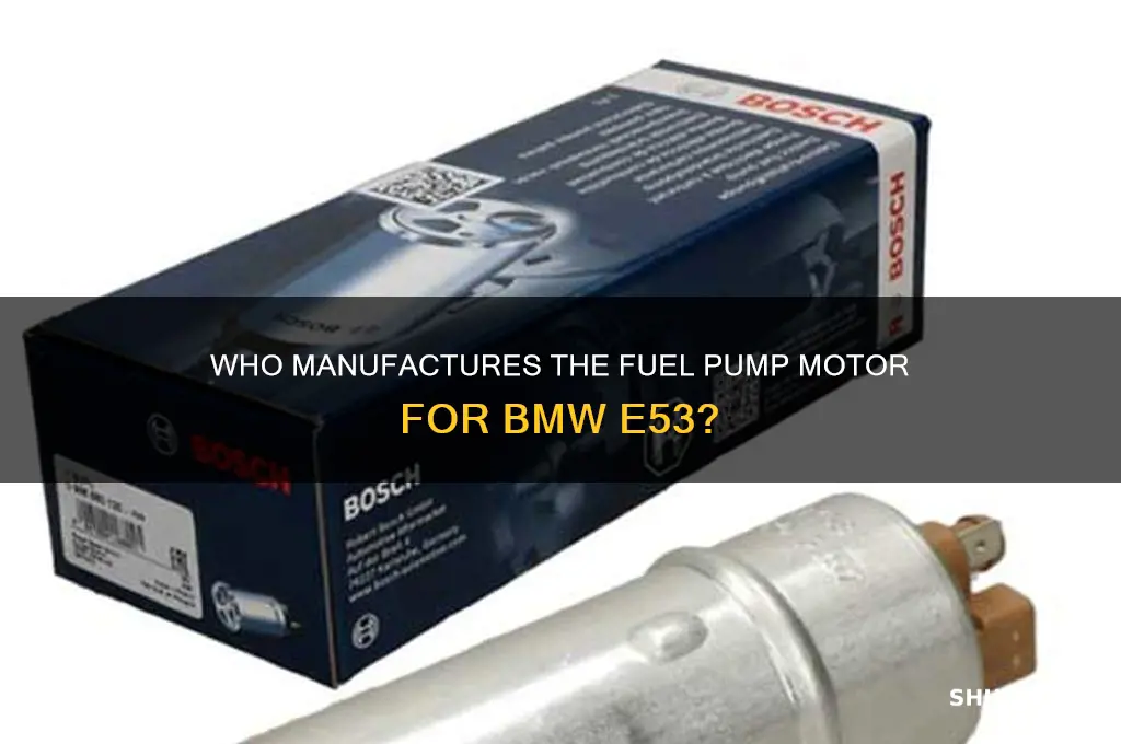 who makes fuel pump motor for bmw e53
