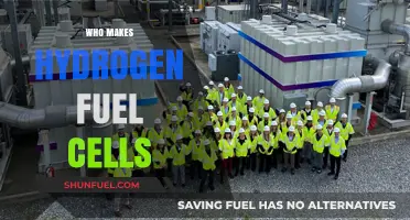 Leading Manufacturers Producing Hydrogen Fuel Cells for a Sustainable Future
