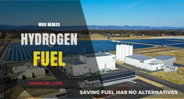 Exploring the Key Players in Hydrogen Fuel Production
