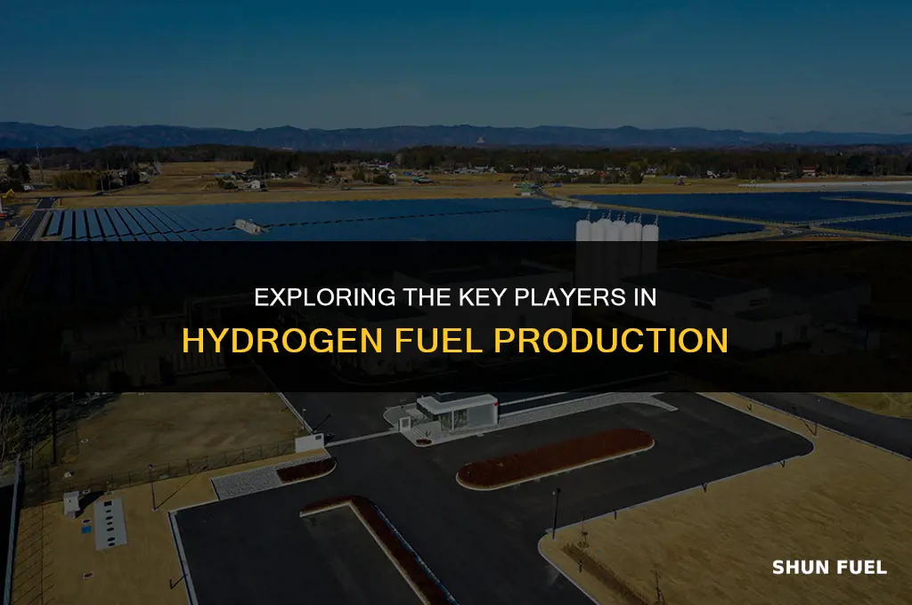 who makes hydrogen fuel