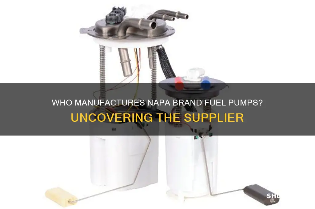 who makes napa brand fuel pumps