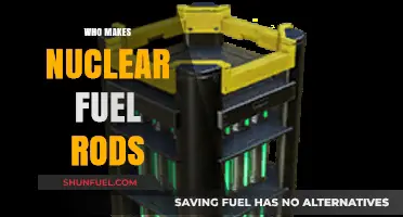 Exploring the Global Suppliers of Nuclear Fuel Rods