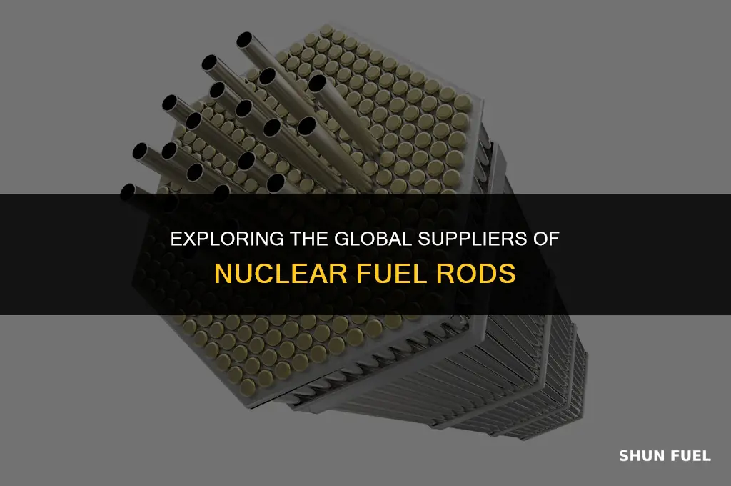 who makes nuclear fuel rods