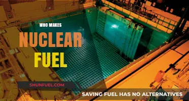 Exploring the Global Players in Nuclear Fuel Production