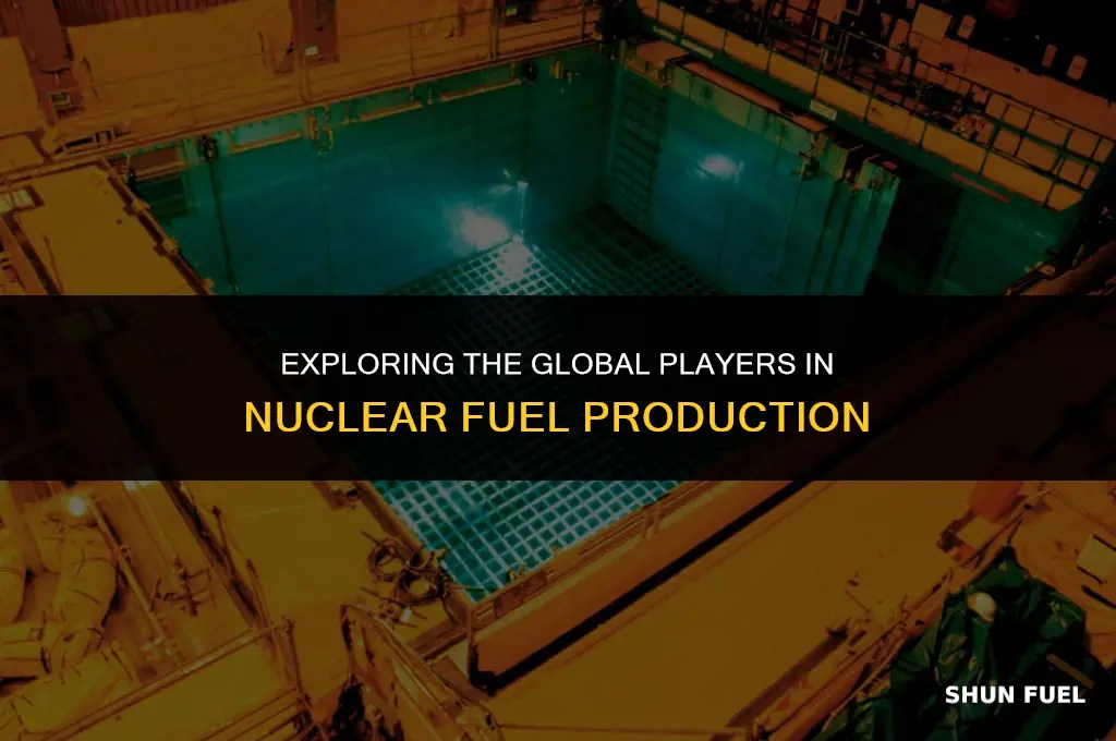 who makes nuclear fuel