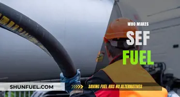 Exploring the Global Players in SEF Fuel Production
