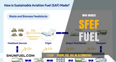 Exploring the Global Players in Sustainable Aviation Fuel Production