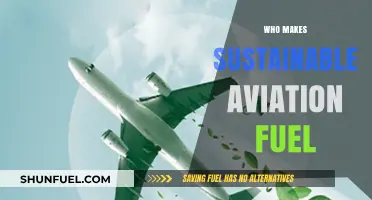Eco-Friendly Skies: The Pioneers of Sustainable Aviation Fuel