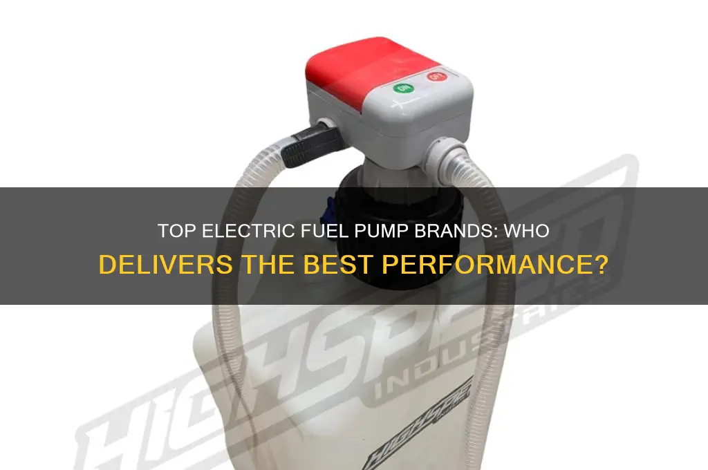who makes the best electric fuel pump