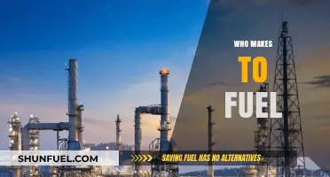 Exploring the Key Players in the Global Fuel Industry