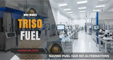 Exploring the Producers of Triso Fuel: A Comprehensive Guide