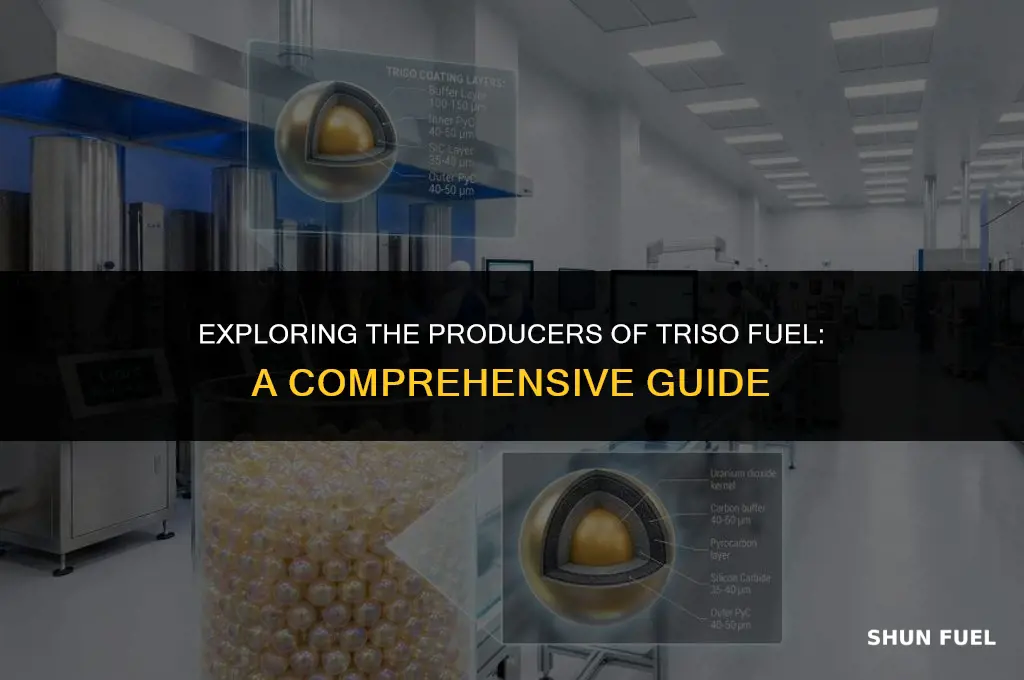 who makes triso fuel