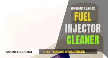 Valvoline Fuel Injector Cleaner: Who's Behind the Popular Product?