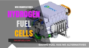 Exploring the Key Players in Hydrogen Fuel Cell Manufacturing