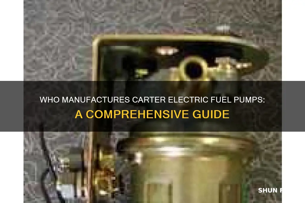 who nakes carter electric fuel pump