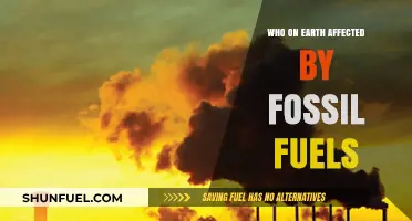 Fossil Fuels' Global Impact: How Every Life on Earth is Affected